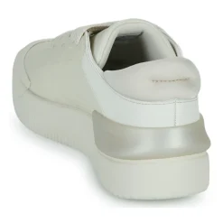 Adidas Sportswear - COURT FUNK