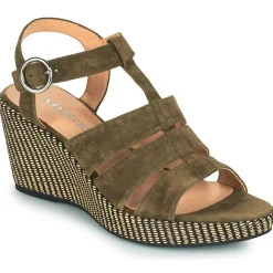 Adige - FLORY V5 VELOURS MILITAIRE