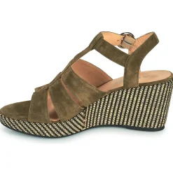 Adige - FLORY V5 VELOURS MILITAIRE