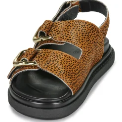 ALOHAS - HARPER SOFT