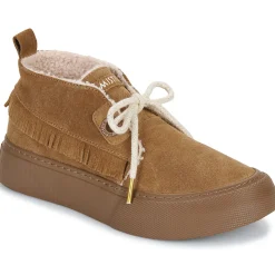 Armistice - ARCO DESERT W