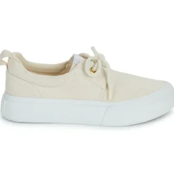 Armistice - ARCO ONE W