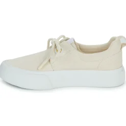 Armistice - ARCO ONE W