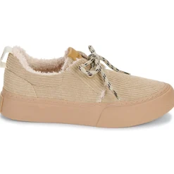 Armistice - ARCO ONE W