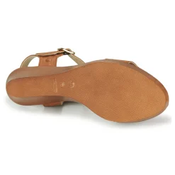 Betty London - CHARLOTA