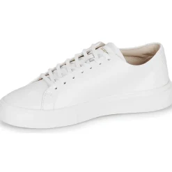 Blackstone - CRAG FINN LOW