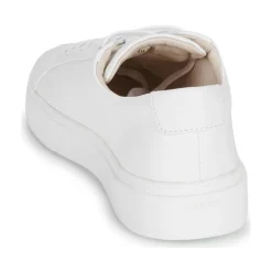 Blackstone - CRAG FINN LOW