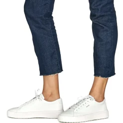 Blackstone - CRAG FINN LOW