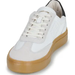 Blackstone - SLATE HARPER