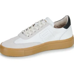 Blackstone - SLATE HARPER