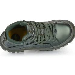 Buffalo - ASPHA NC MID