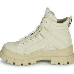 Buffalo - ASPHA NC MID