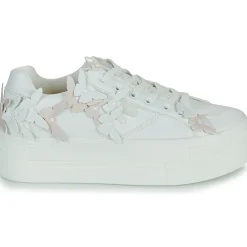 Buffalo - PAIRED BUTTERFLY