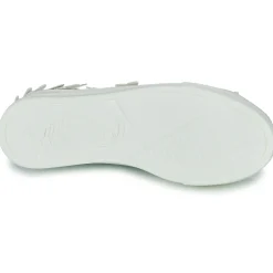 Buffalo - PAIRED BUTTERFLY