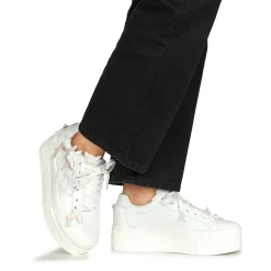 Buffalo - PAIRED BUTTERFLY