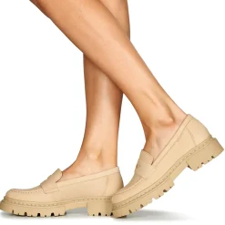 Bullboxer - 610000E4L