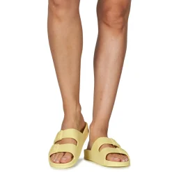 Cacatoès - BELO HORIZONTE