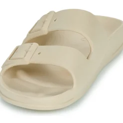 Cacatoès - BELO HORIZONTE