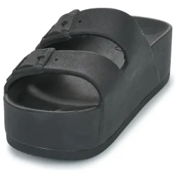 Cacatoès - CAIPIRINHA CLASSIC