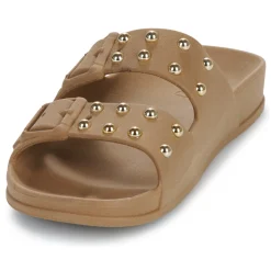 Cacatoès - FLORIANOPOLIS