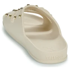 Cacatoès - FLORIANOPOLIS