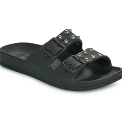 Cacatoès - FLORIANOPOLIS