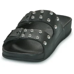 Cacatoès - FLORIANOPOLIS