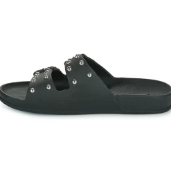 Cacatoès - FLORIANOPOLIS