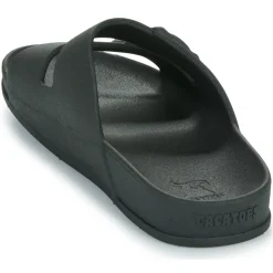 Cacatoès - RIO DE JANEIRO