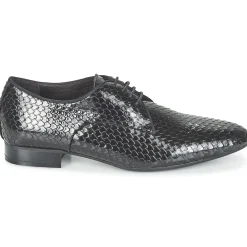 Café Noir - BARNARD