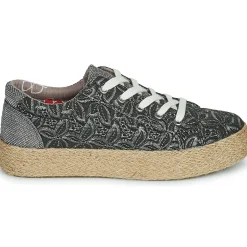 Café Noir - C1DG9050