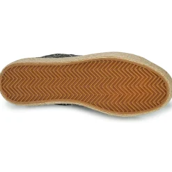 Café Noir - C1DG9050