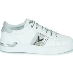 Café Noir - C1DS9210