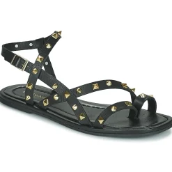 Café Noir - C1GD1040