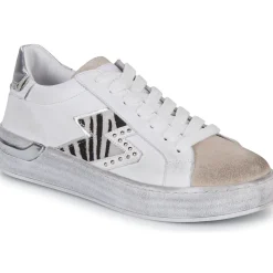 Café Noir - DS1616-S022