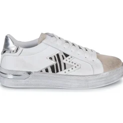 Café Noir - DS1616-S022