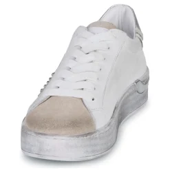 Café Noir - DS1616-S022