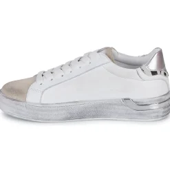 Café Noir - DS1616-S022