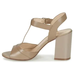 Café Noir - GIMOTTI