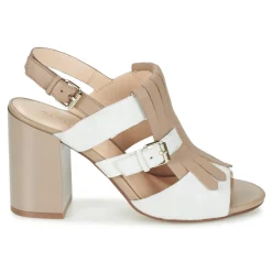 Café Noir - GONFERT