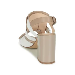 Café Noir - GONFERT