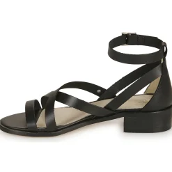 Casual Attitude - COUTIL