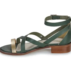 Casual Attitude - COUTIL