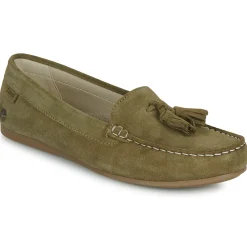 Casual Attitude - GATOE