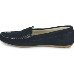 Casual Attitude - ISAWA