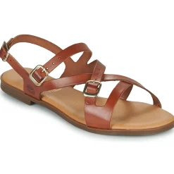 Casual Attitude - LANISO