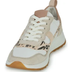 Clarks - DASHLITE JAZZ