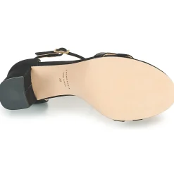 Cosmo Paris - ZADAU-BI