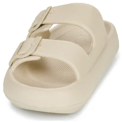 D.Franklin - 334 BLOOMER