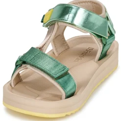 D.Franklin - 361 FOREST